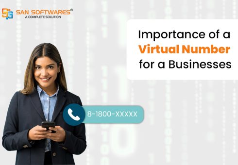 Importance of Virtual Numbers