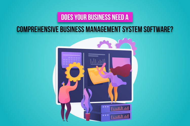 Does Your Business Need a Comprehensive Business Management System Software?