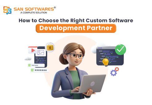 Custom software developer