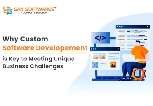 Custom Software Development