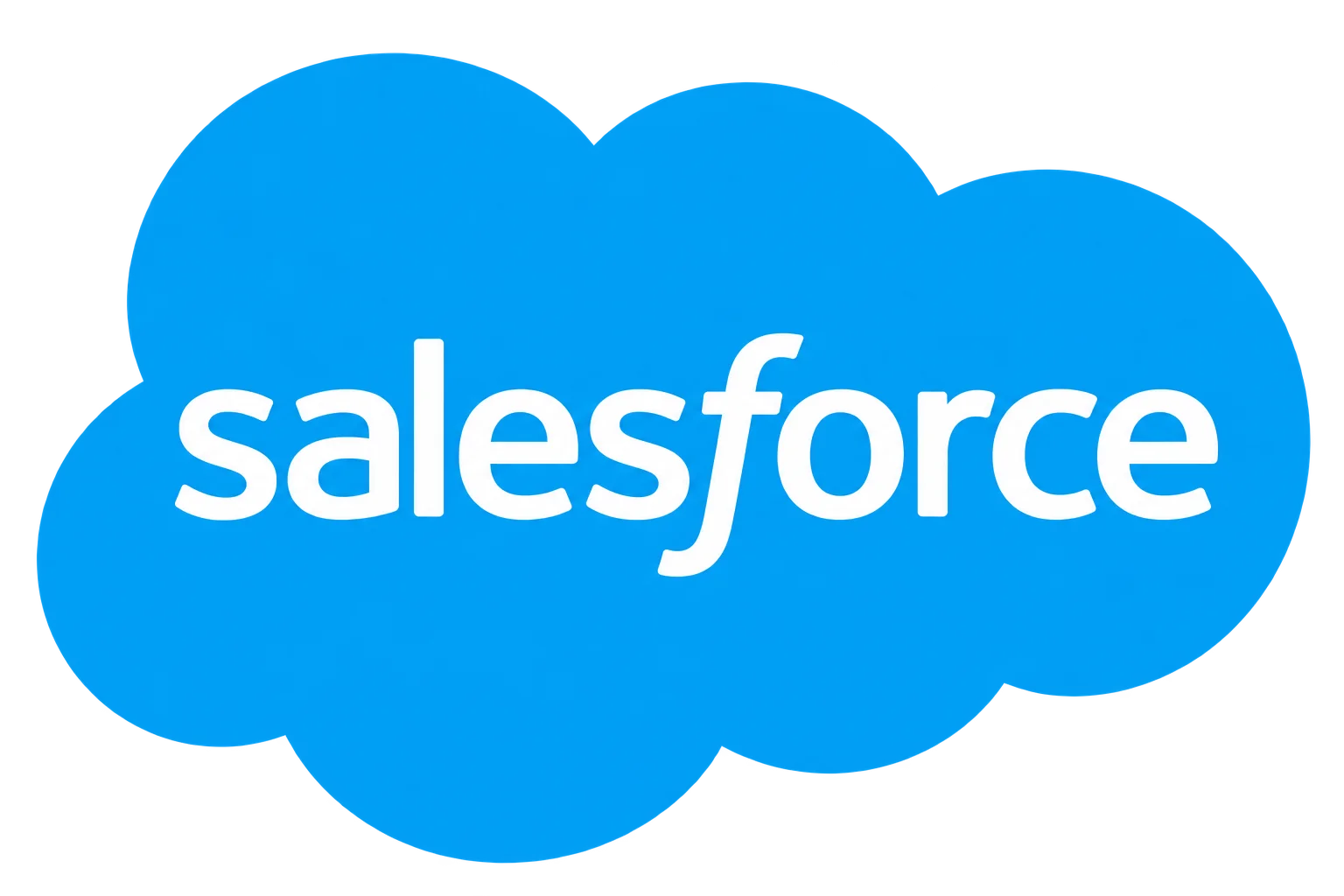 Salesforce Icon